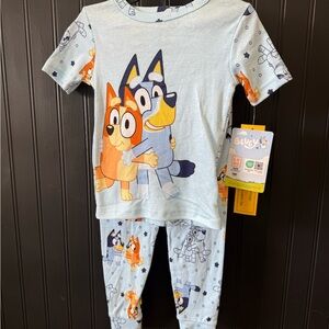 Playful Blue and Orange Pajama Sets with Cartoon Character